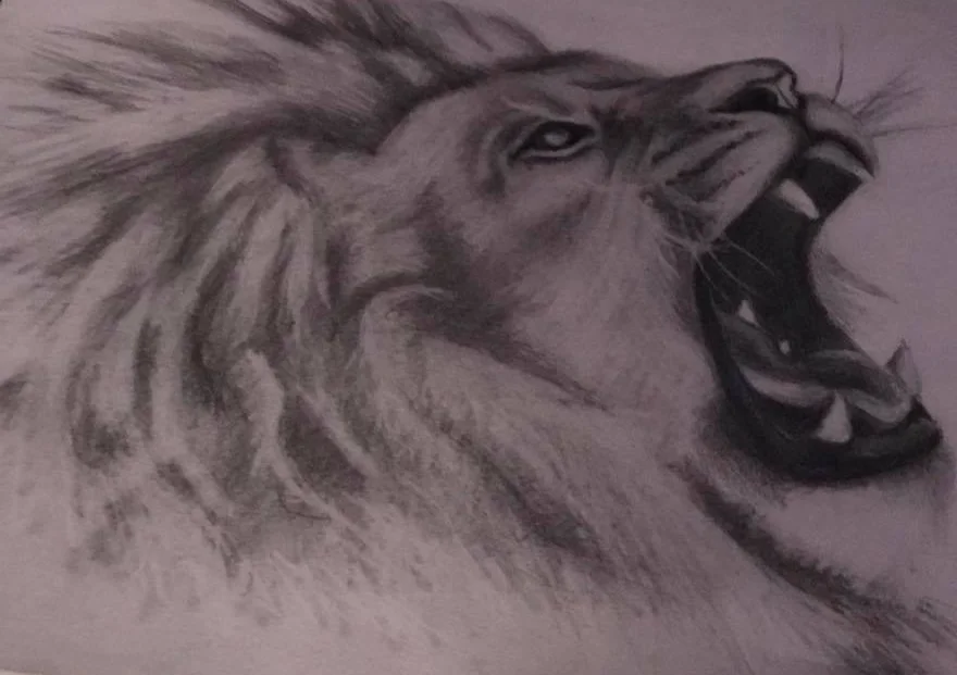 Expression Drawing
